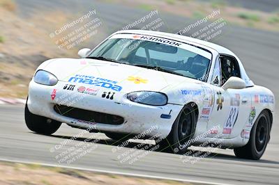 media/May-04-2025-Lucky Dog Racing (Sun) [[21629467aa]]/Turn 4 (10-1045am)/Front/